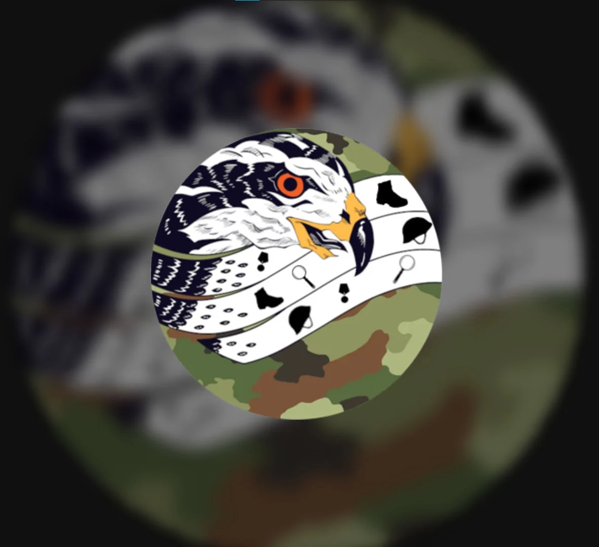 Колекционарска група