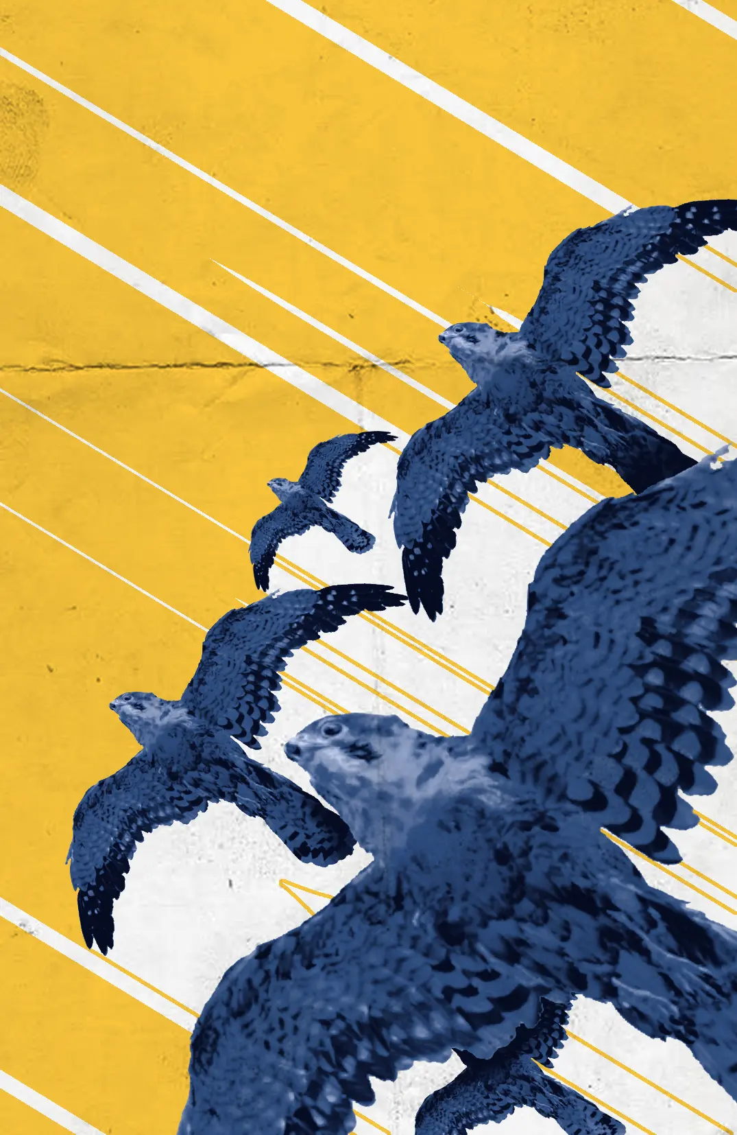 Планинарски постер