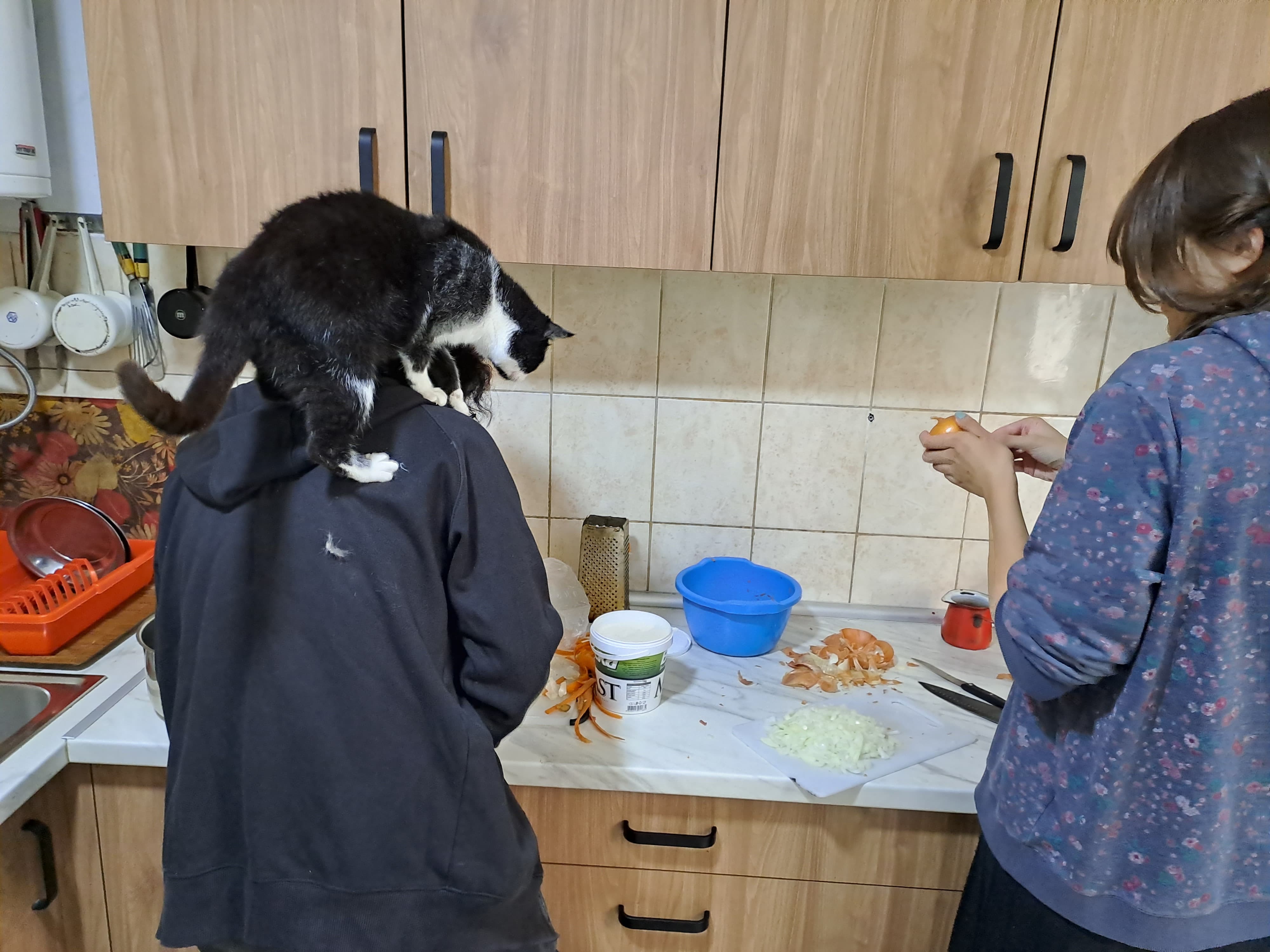 Акција Гучево - ПСУ Јастреб