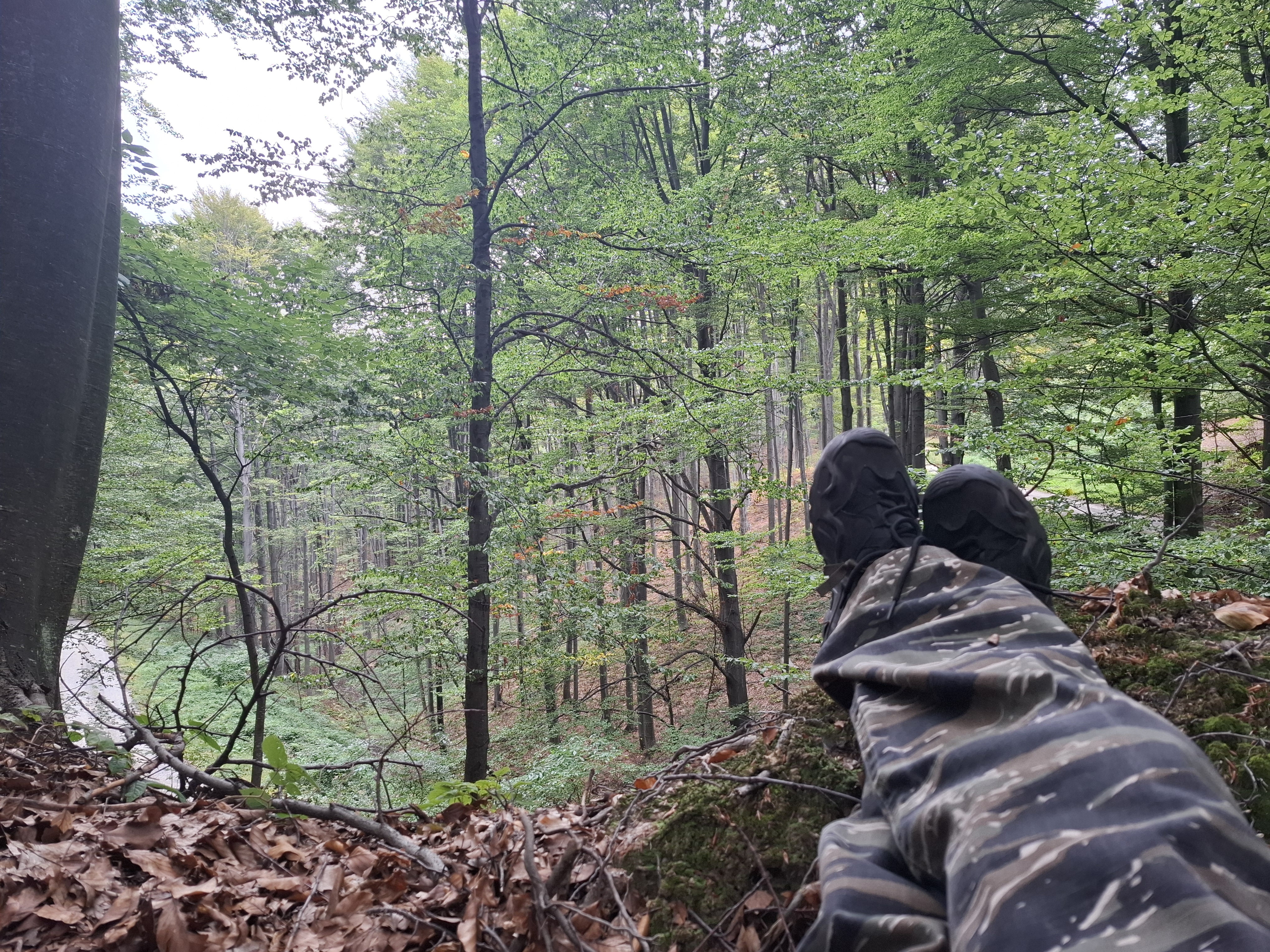 Акција Гучево - ПСУ Јастреб