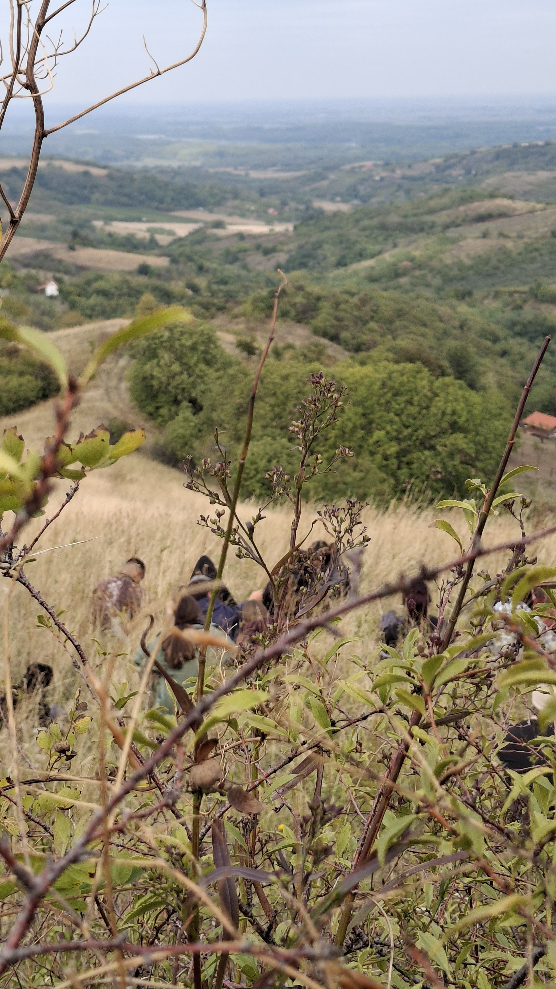Акција Стражилово - ПСУ Јастреб
