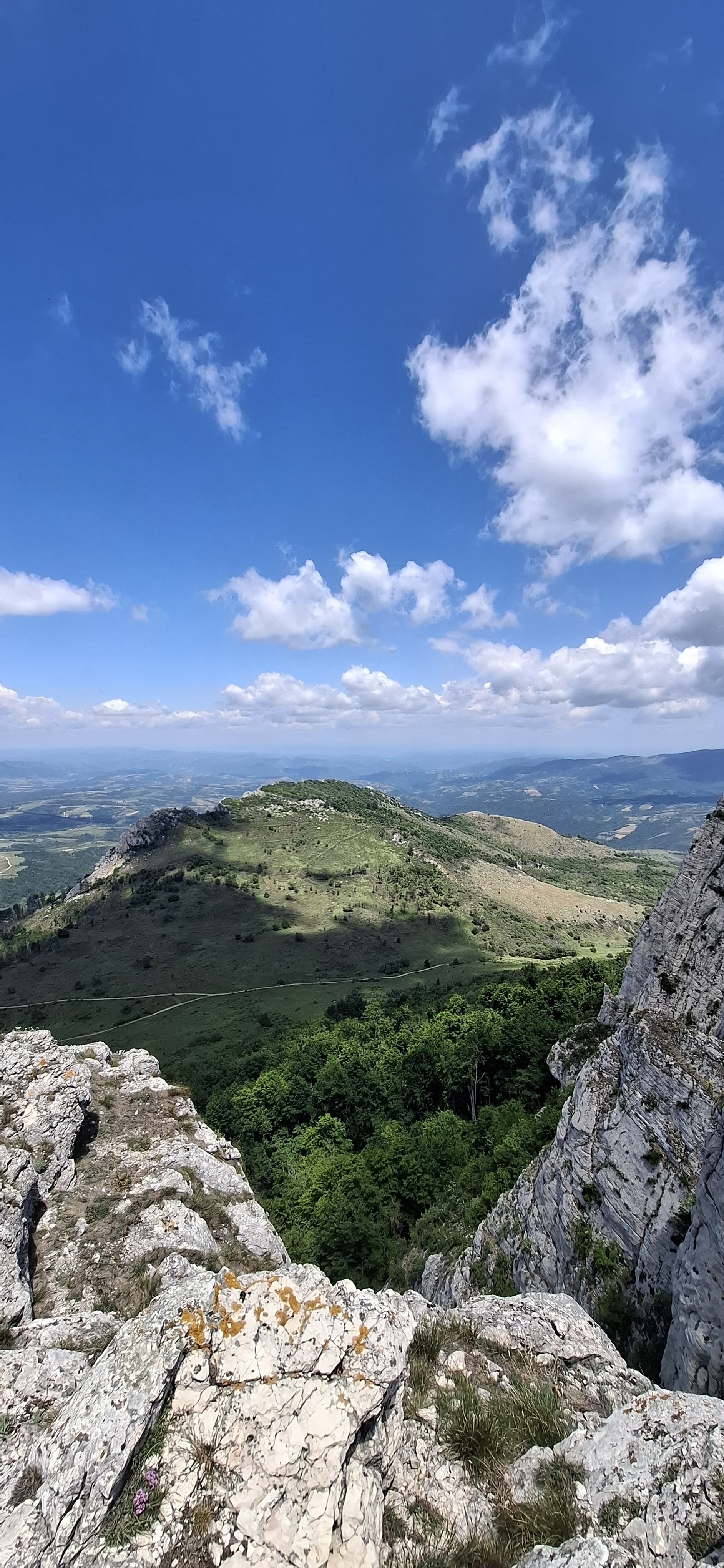 Акција Борски Сто - ПСУ Јастреб