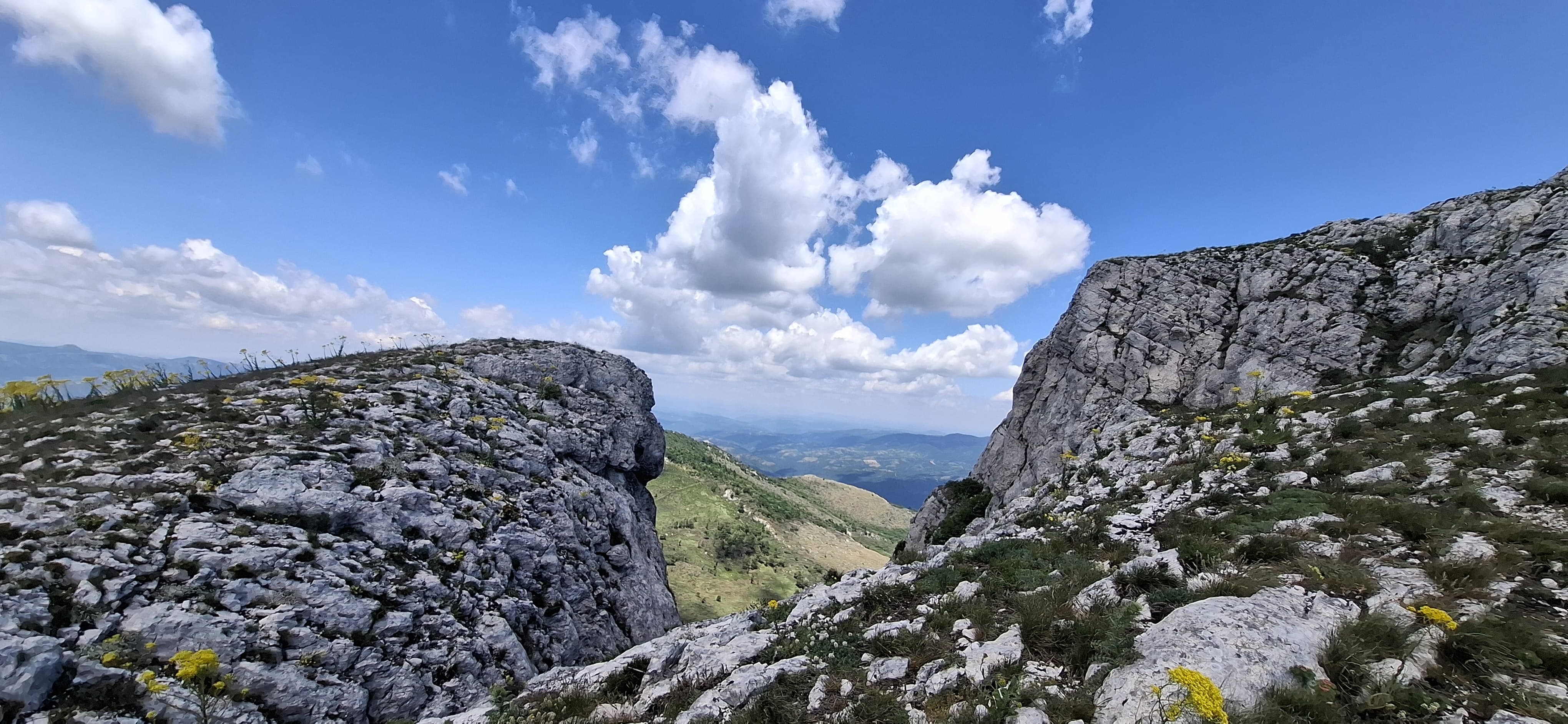 Акција Борски Сто - ПСУ Јастреб