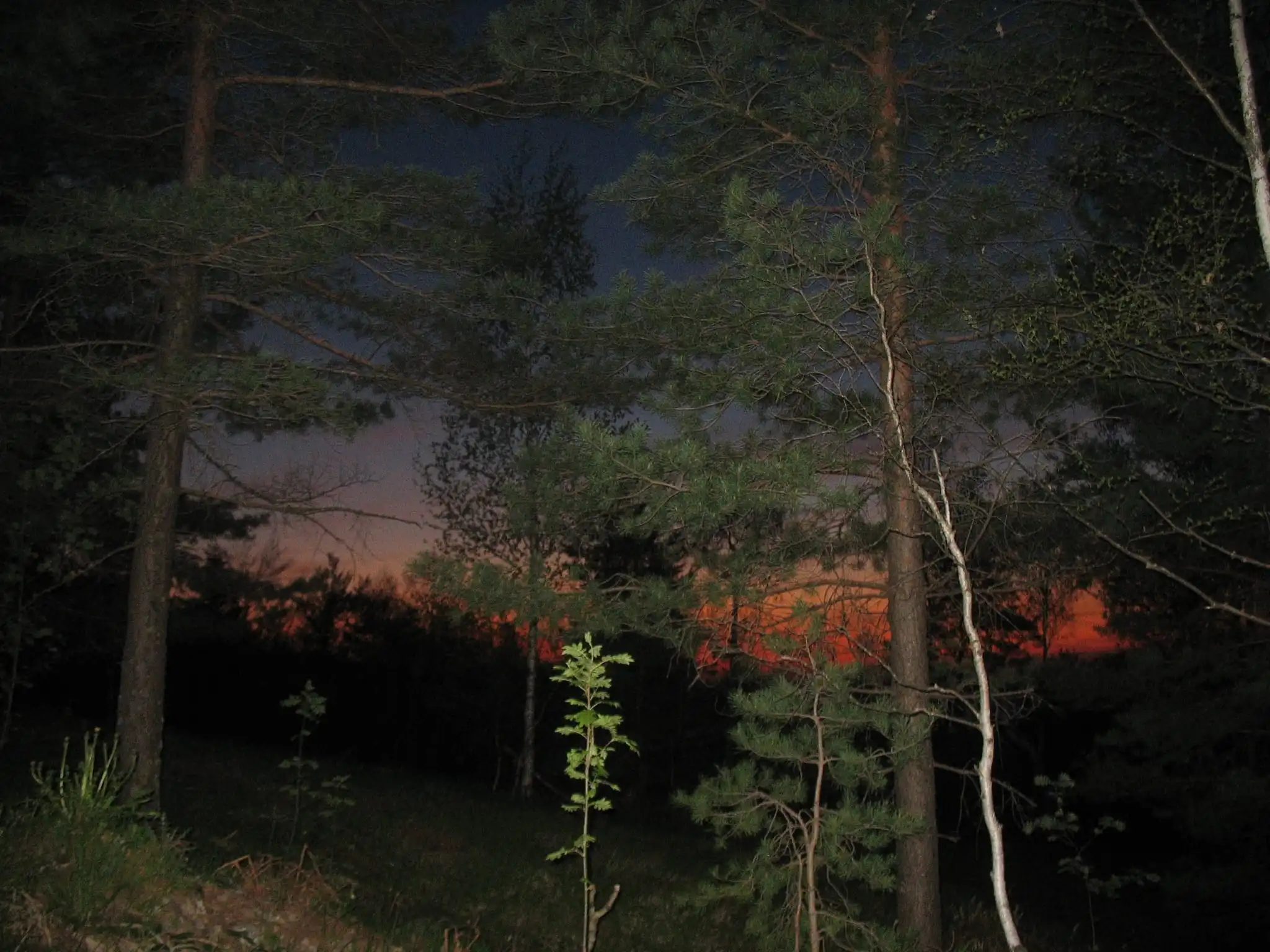 Планинарска акција на Дивчибарима - ПСУ Јастреб