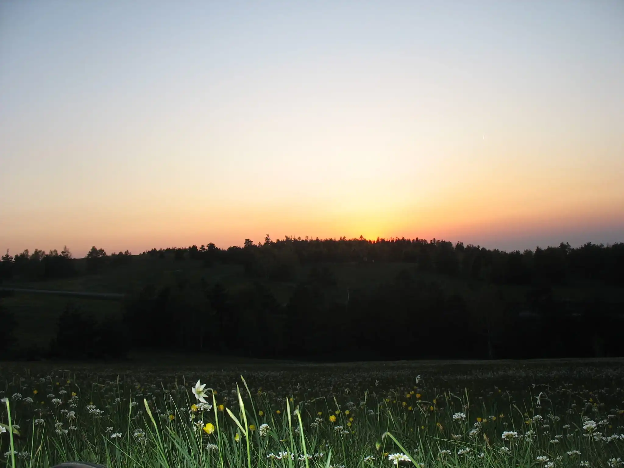 Планинарска акција на Дивчибарима - ПСУ Јастреб