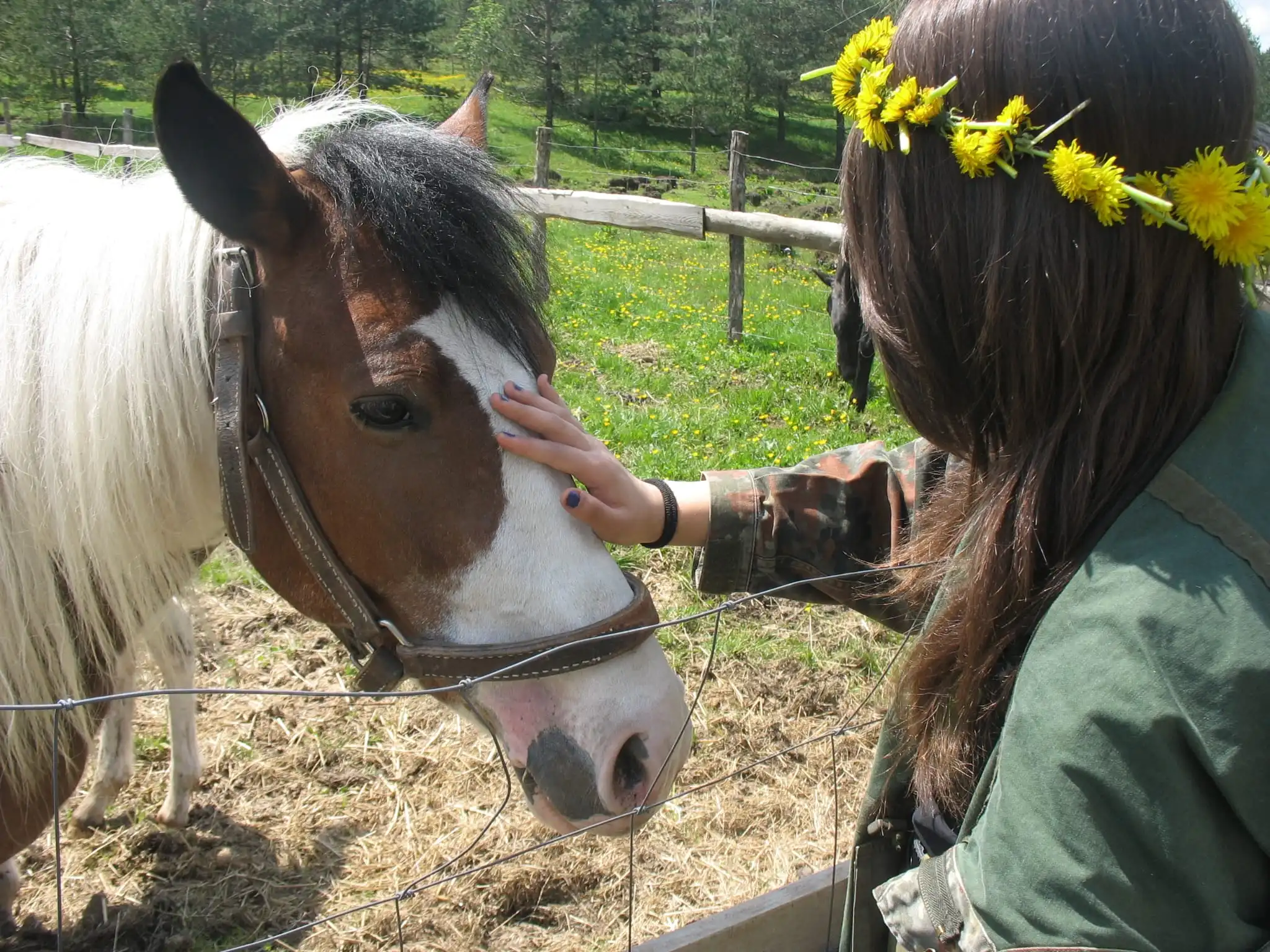 Планинарска акција на Дивчибарима - ПСУ Јастреб