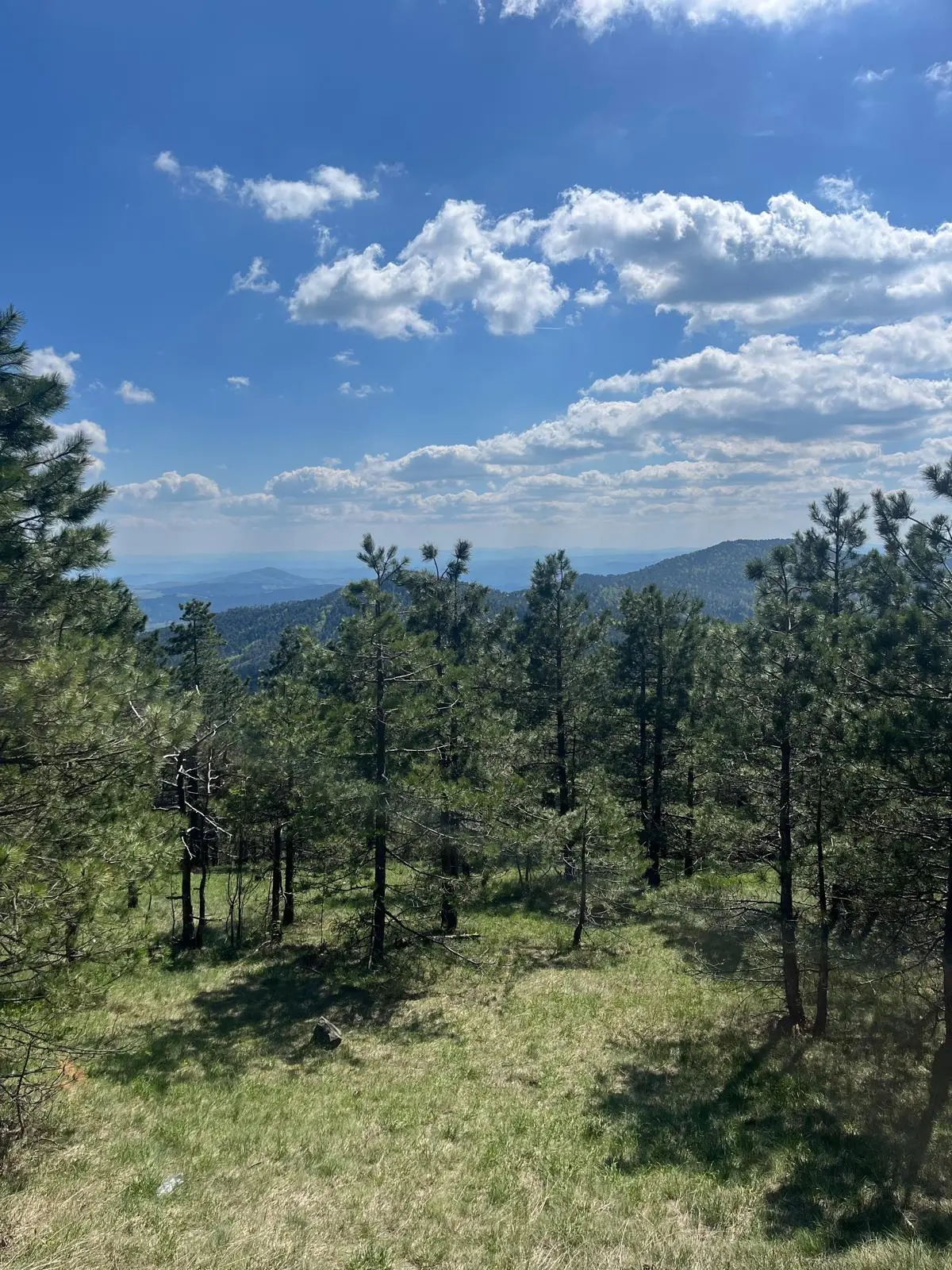 Планинарска акција на Дивчибарима - ПСУ Јастреб