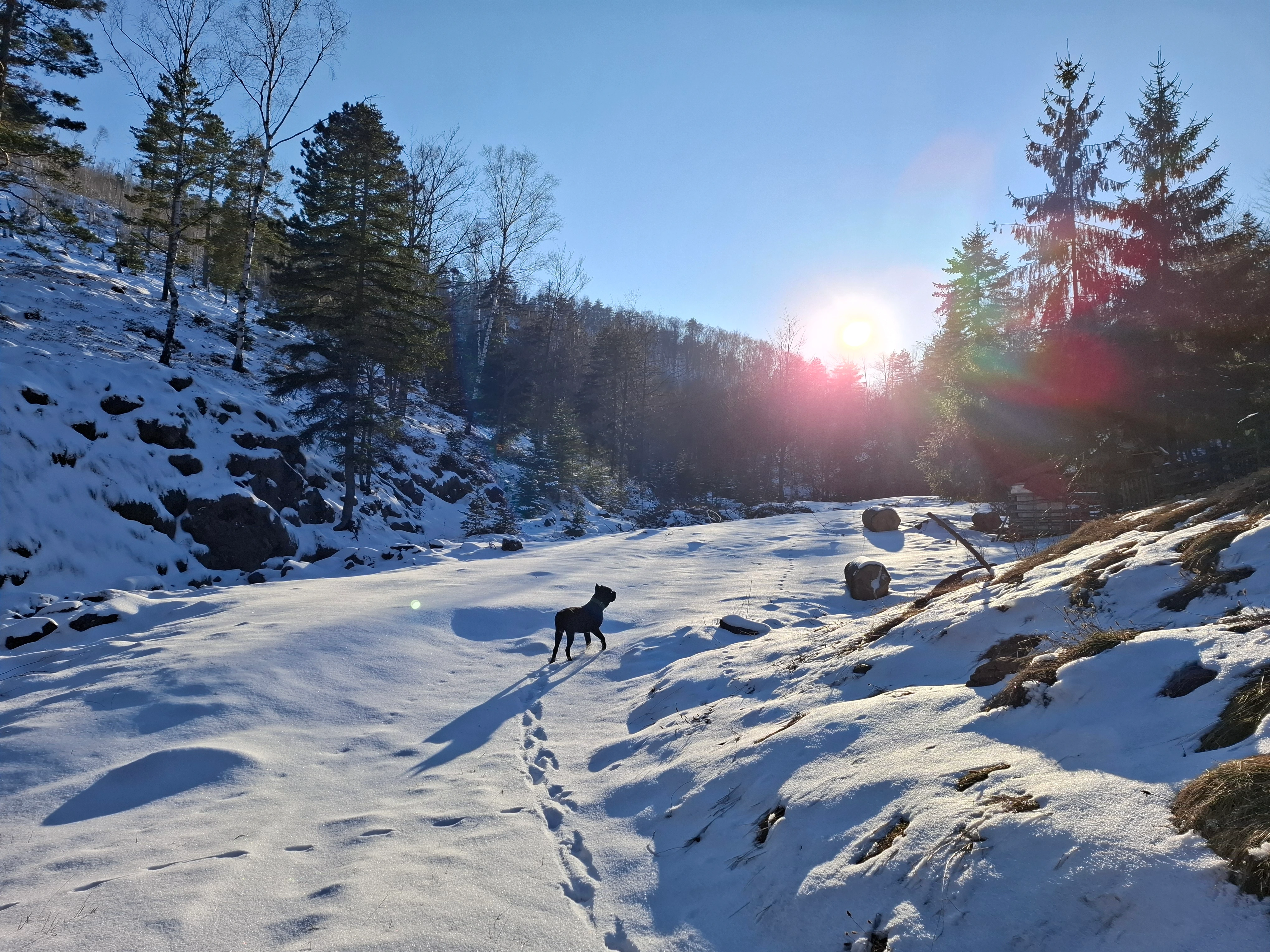 Планинарска акција на Дивчибарима - ПСУ Јастреб