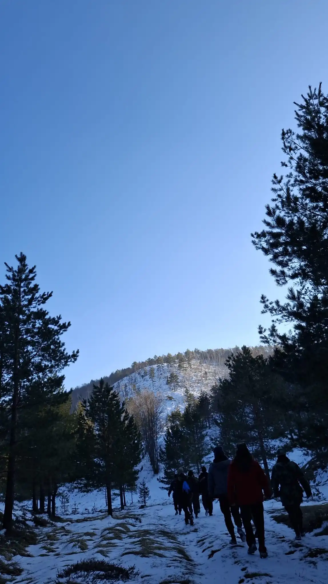 Планинарска акција на Дивчибарима - ПСУ Јастреб