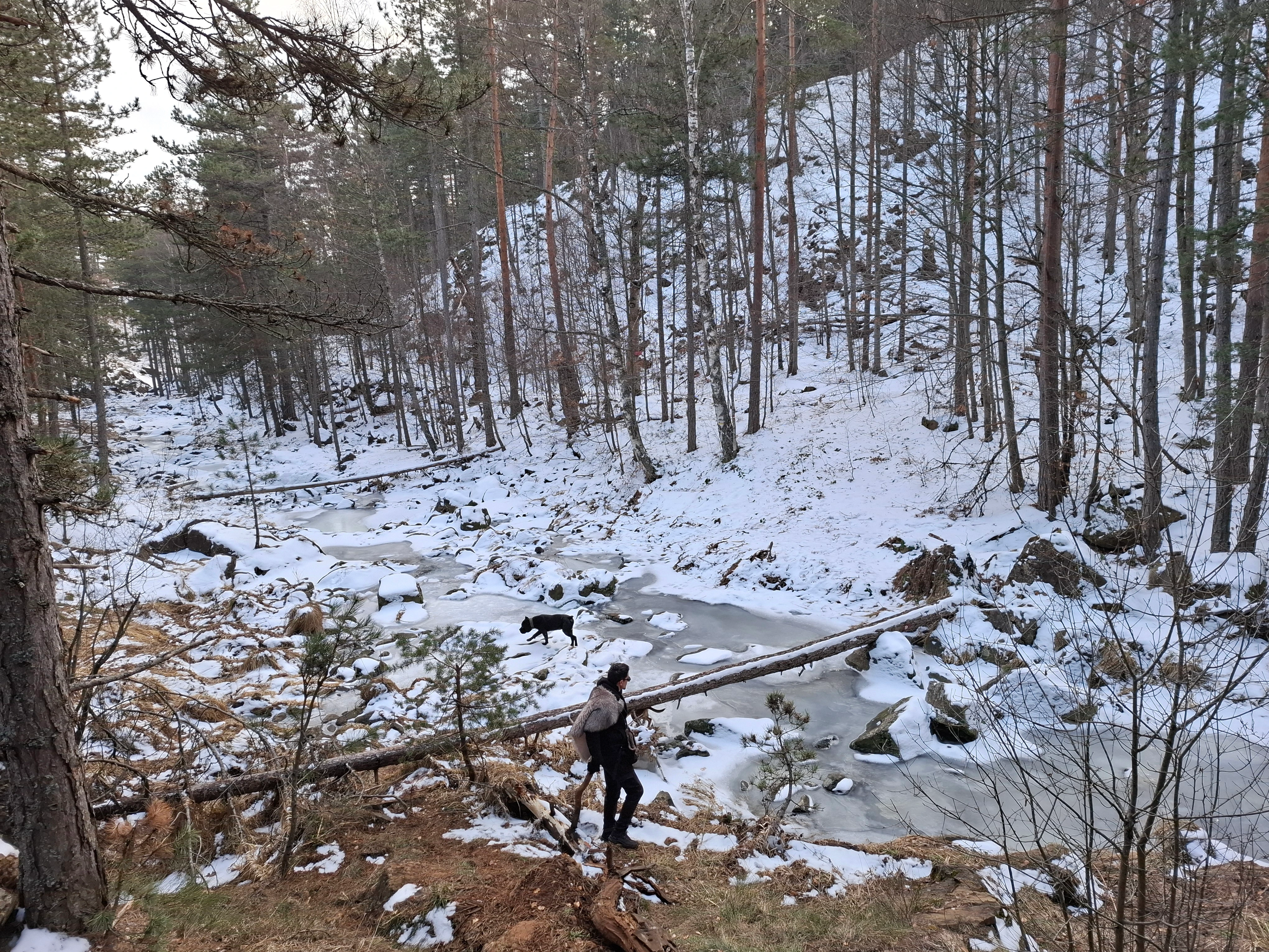 Планинарска акција на Дивчибарима - ПСУ Јастреб