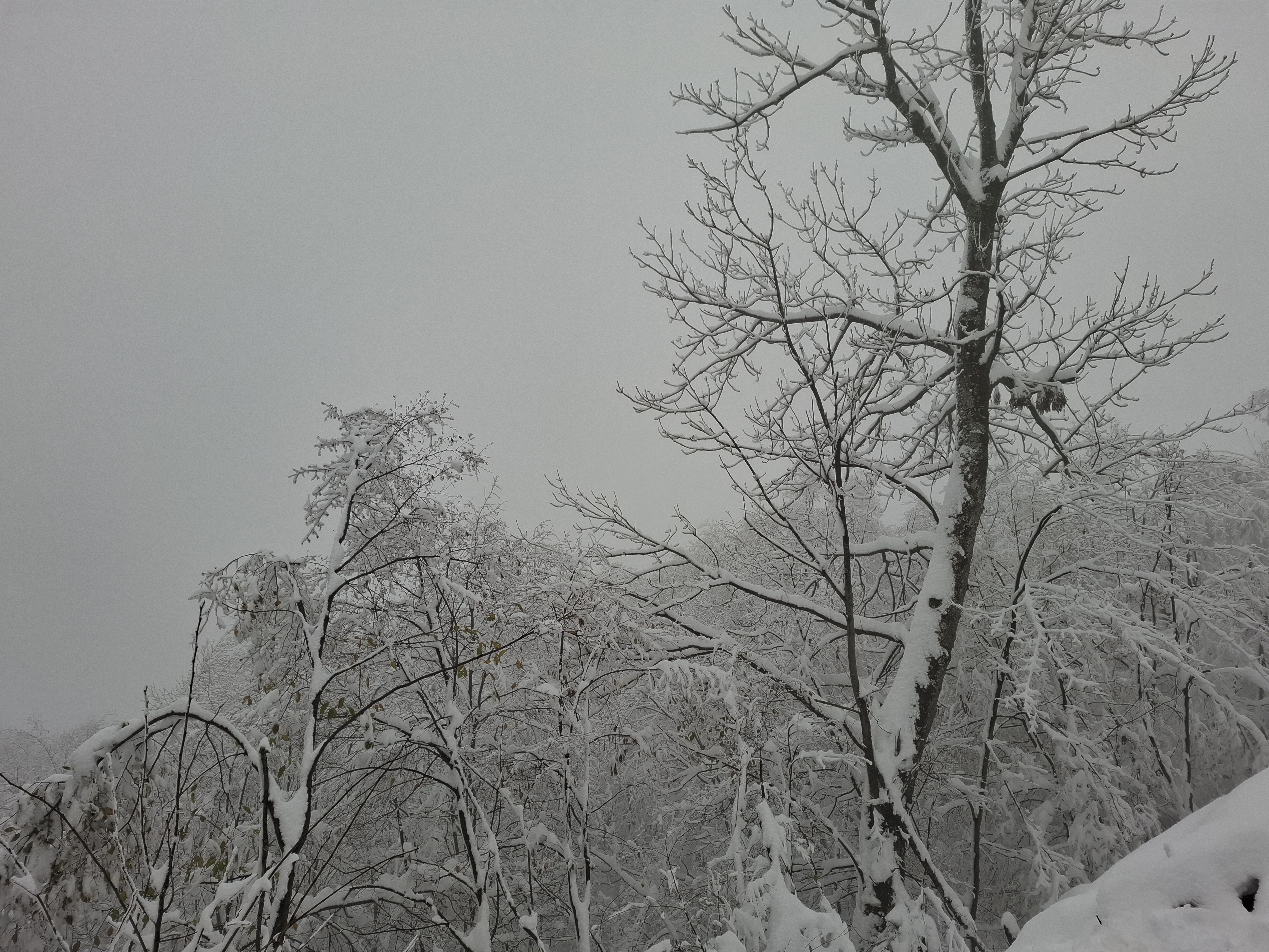 Планинарска акција на Каблару - ПСУ Јастреб