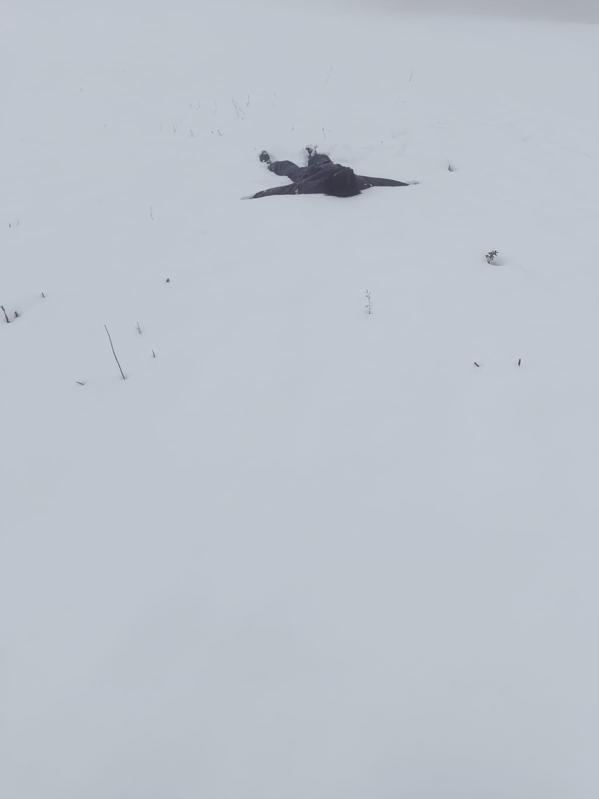 Планинарска акција на Каблару - ПСУ Јастреб