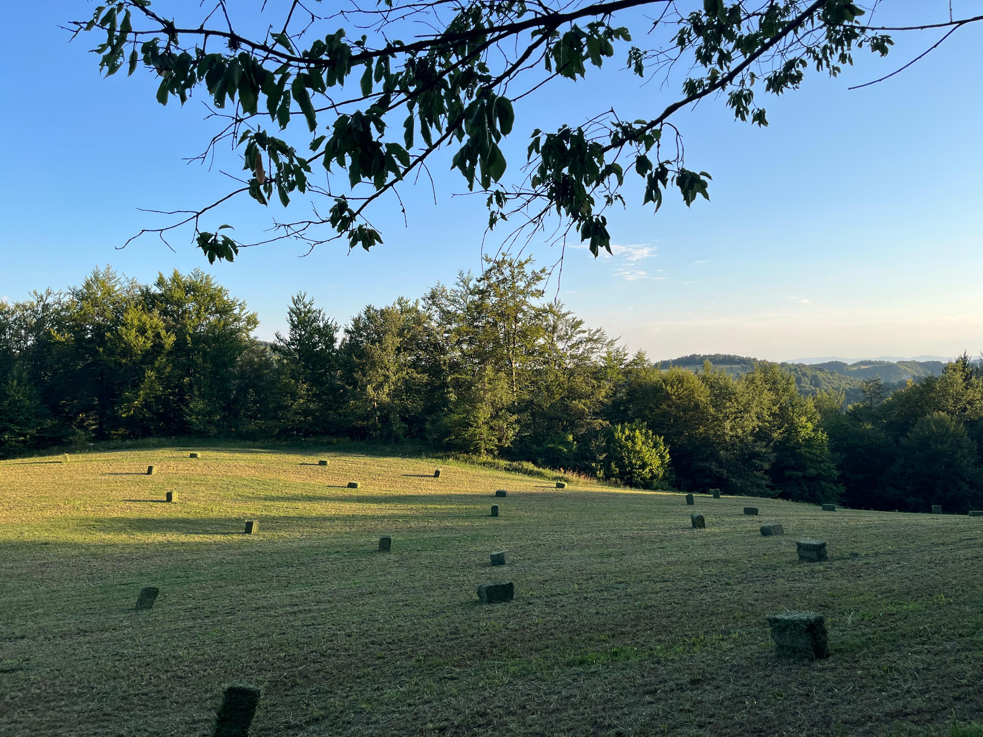Планинарска акција на Повлену - ПСУ Јастреб