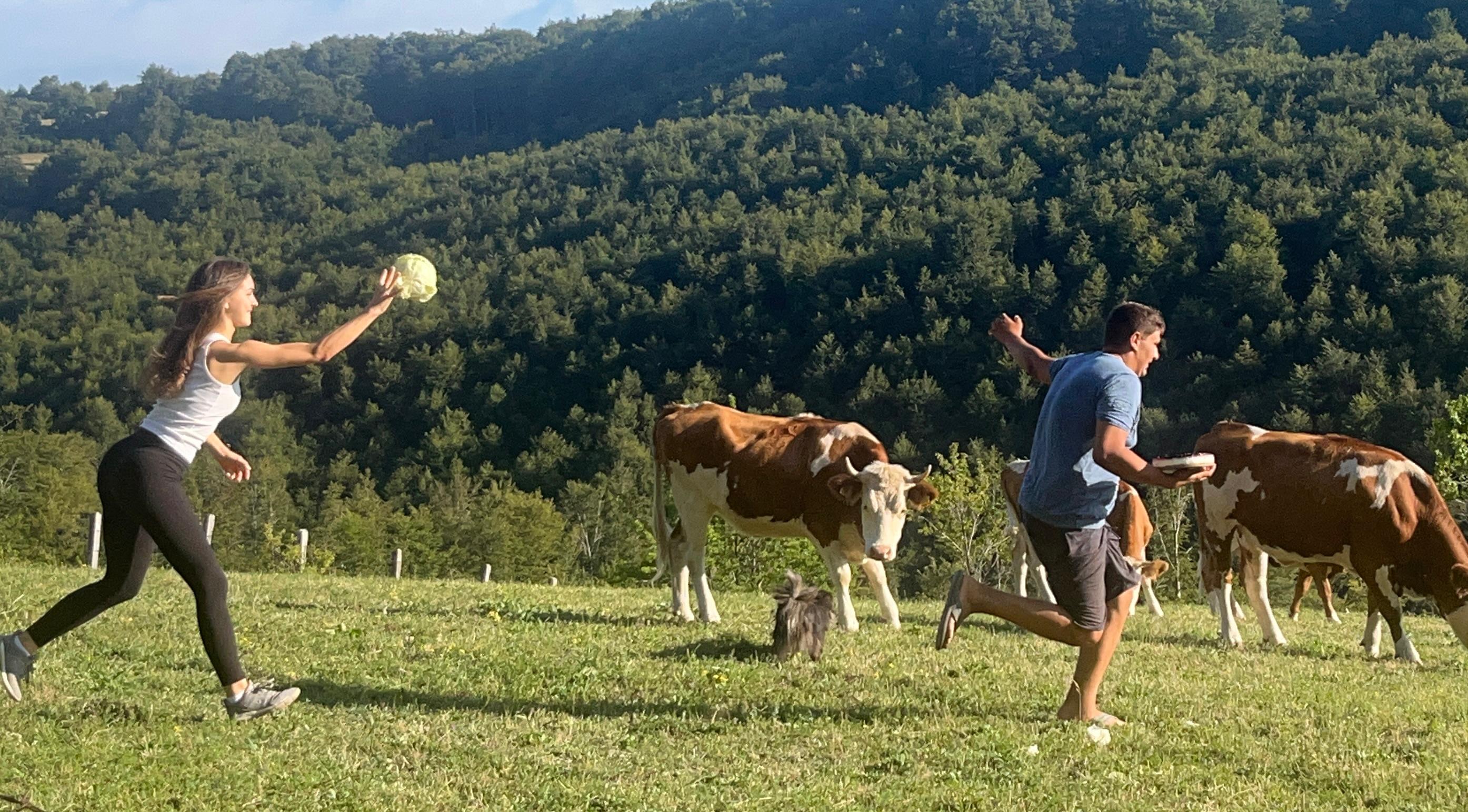 Планинарска акција на Повлену - ПСУ Јастреб