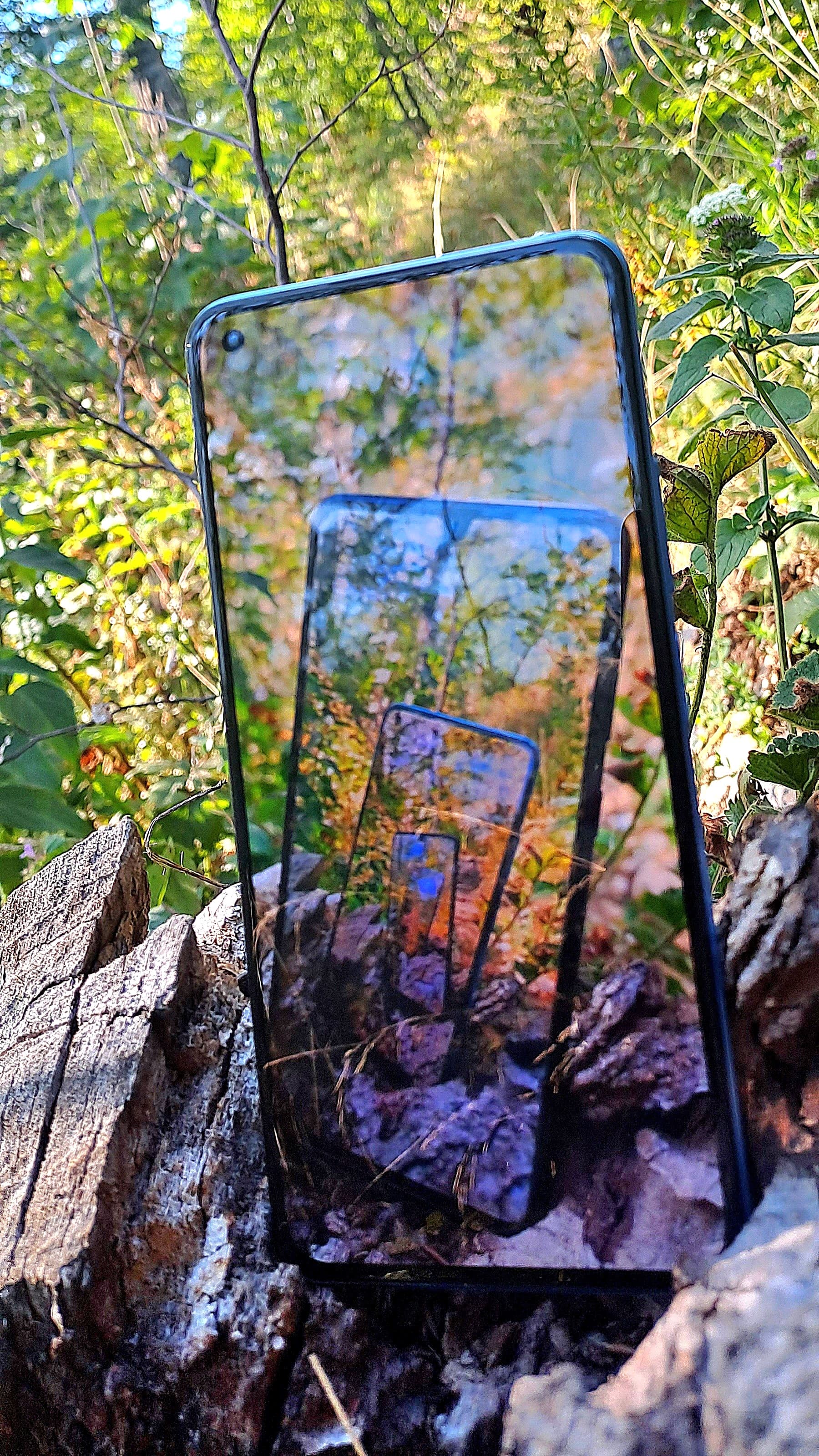 Планинарска акција на Повлену - ПСУ Јастреб