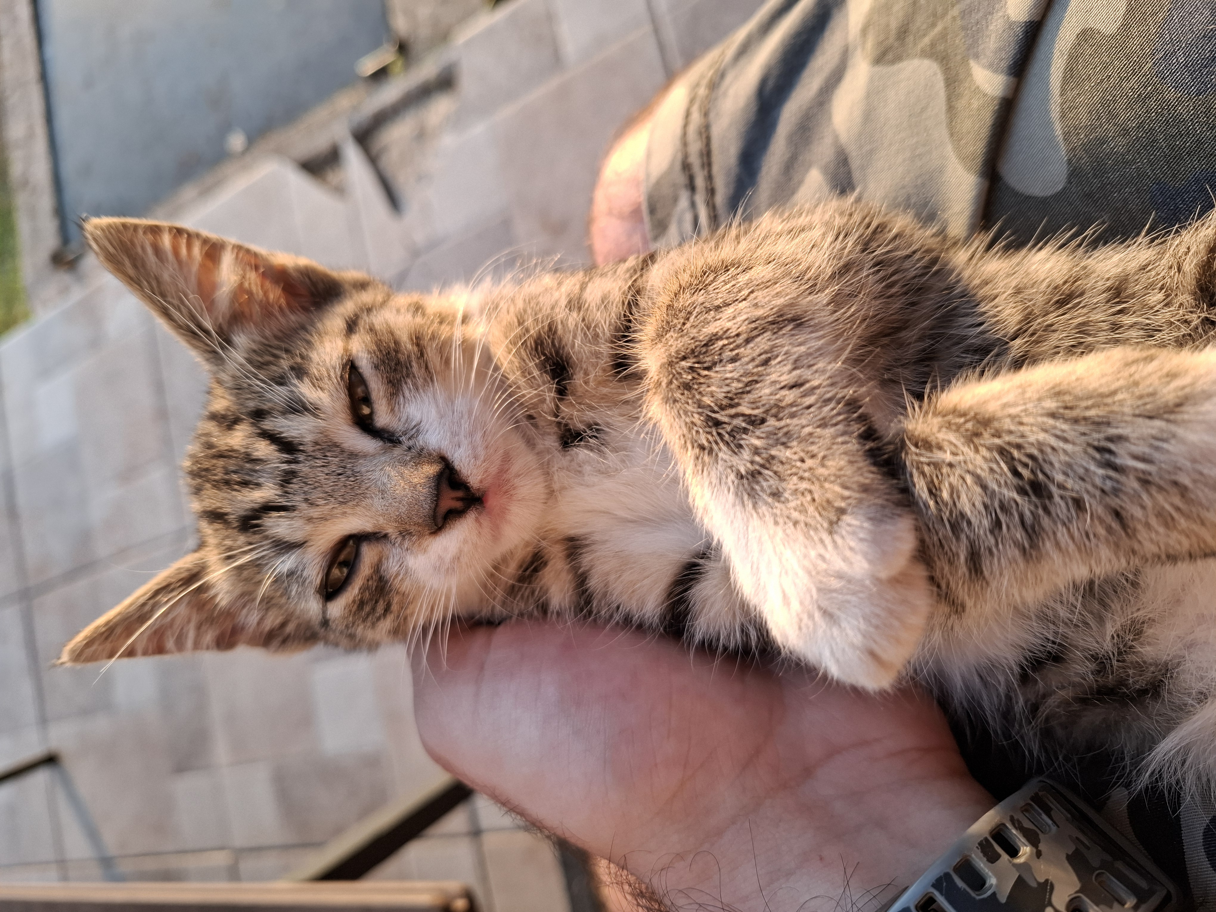 Планинарска акција на Повлену - ПСУ Јастреб